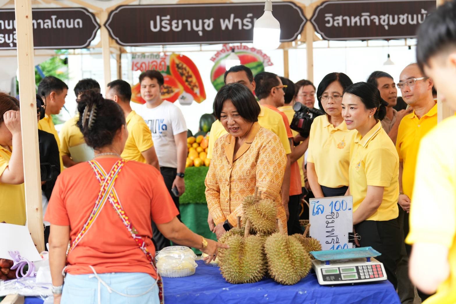 IMAGE - 3457