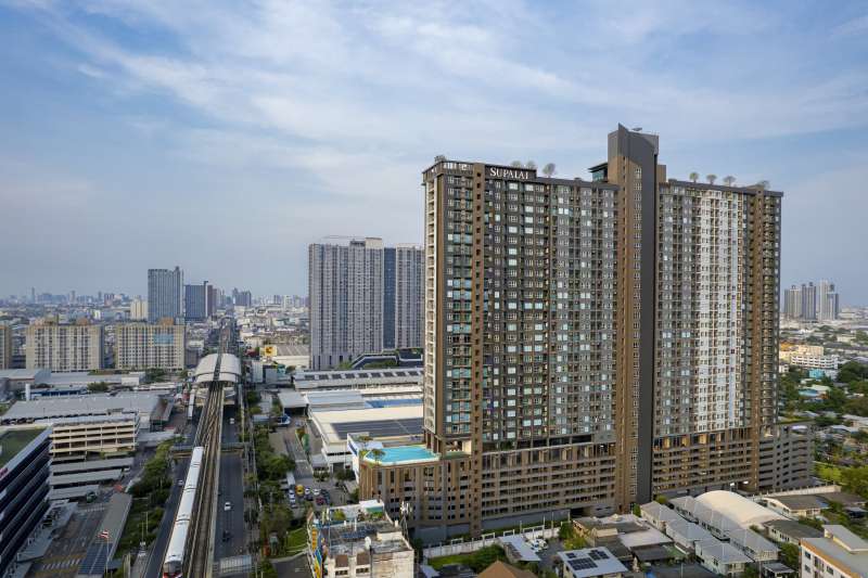 IMAGE - 4394