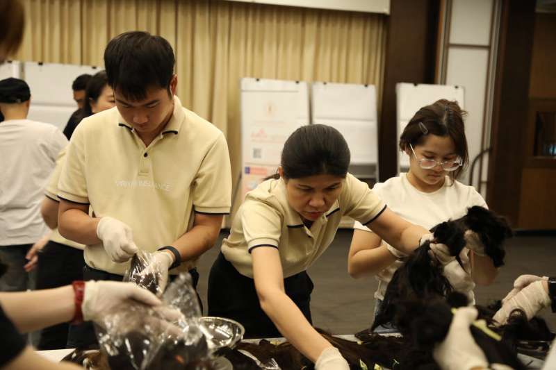 IMAGE - 4452
